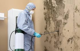  Harristown, IL Mold Inspection Pros